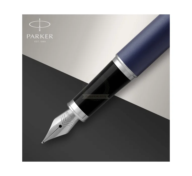 Penna Stilografica Parker IM Light Blue Grey Trim